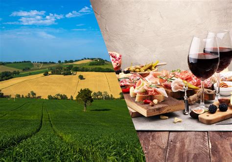 Le Marche Un Viaggio Culinario Tra Eccellenze Gastronomiche Lema