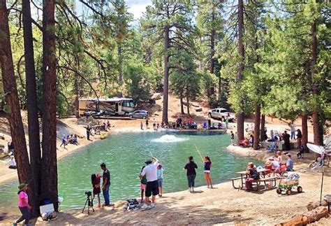 Idyllwild Rv Resort Updated Prices Reviews Photos Ca