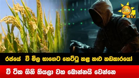 රජයේ වී මිල භාගෙට හෙට්ටු කළ කළු කඩකාරයෝ වී ටික ගිනි තියලා වහ බොන්නයි