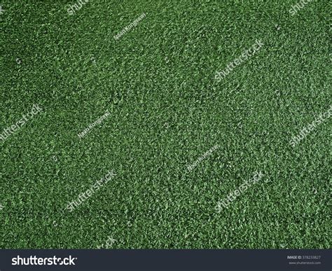 Green Background Stock Photo 378233827 Shutterstock