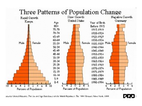 Interpreting Age Sex Pyramids