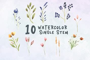 Item: 10 Watercolor Single Stem Illustration Graphics by IanMikraz - shared by G4Ds