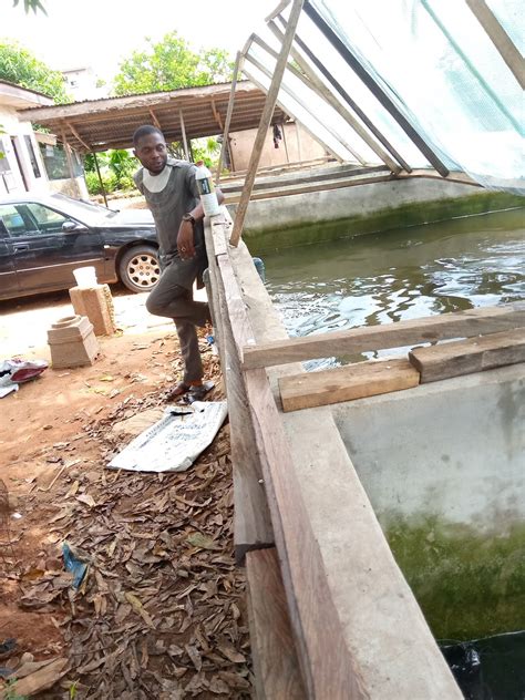 Catfish Production Analysis Nigerian Catfish Market