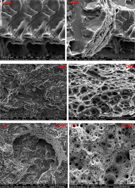 Scanning Electron Micrographs Secondary Electron Mode Everhart