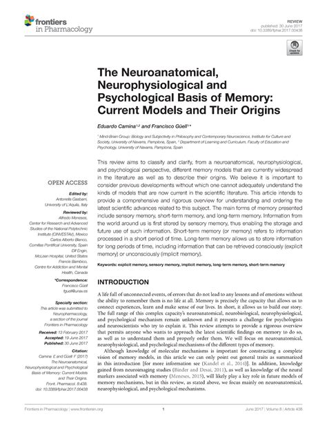 neuroanatomical neurophysiological  psychological basis  memory