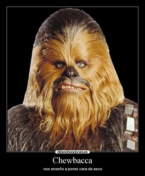 Chewbacca Memes