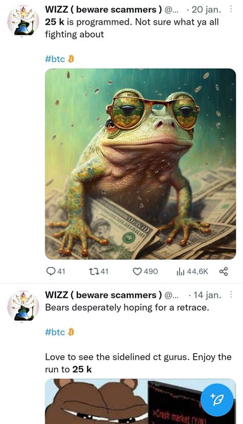 WIZZ Beware Scammers On Twitter Called The Bottom Exacly 15 5 K