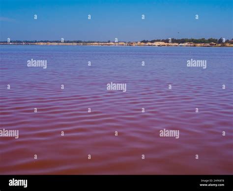 pink lake retba   suburbs  dakar place  salt mining senegal