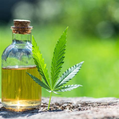 Unlocking The Mysteries And Benefits Of Cbd Tincture