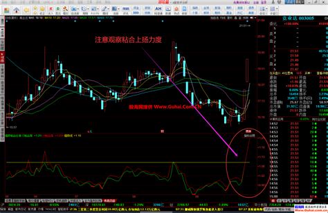 同花顺【强势粘合必涨】幅图公式 牛股都逃不掉 抓涨神器 源码文件分享 同花顺公式 公式网