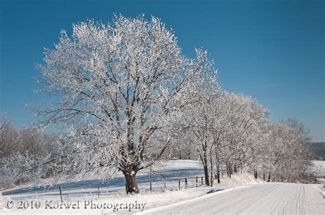 Winter in Iowa – Korwel Photography