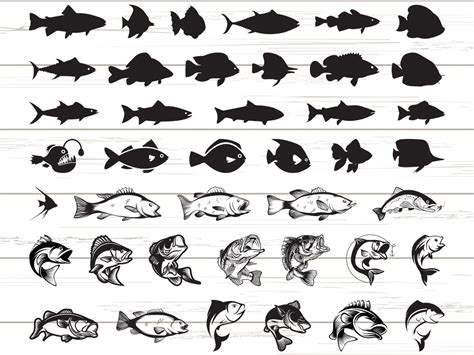 41 Fish Svg Fishing Svg Cricut Clipart Silhouette Vector