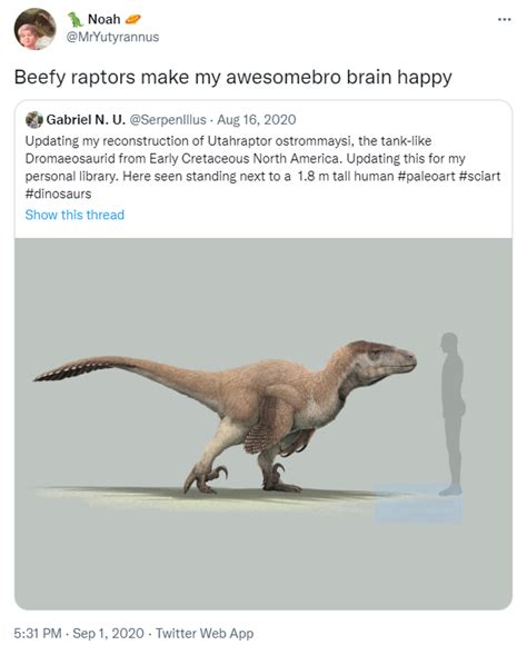 Beefy Raptors Make My Awesomebro Brain Happy Awesomebro Know Your Meme