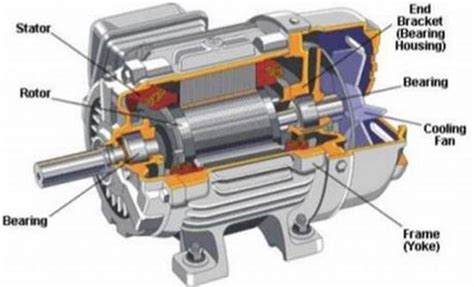 Mengenal Motor Listrik 3 Phase Dan Prinsip Kerjanya Rekomendid