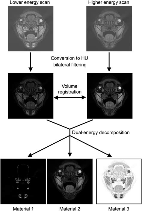 Workflow For Microscopic Dual Energy CT MicroDECT Imaging And