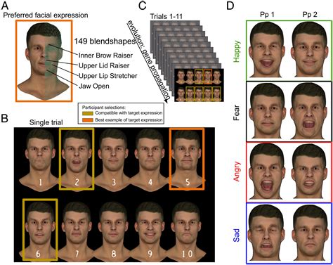 Facial Expressions And Emotions Psychology