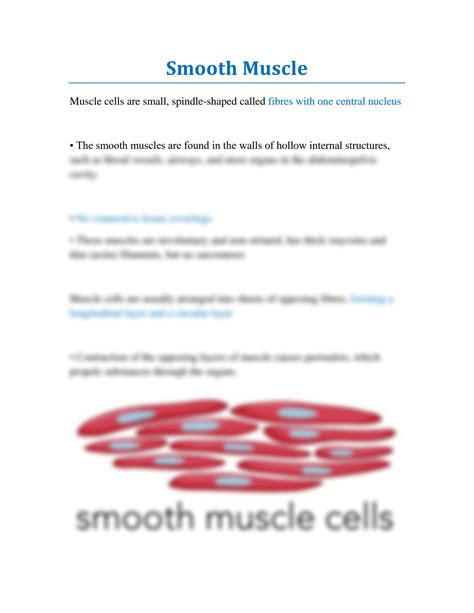 Solution Smooth Muscle Studypool