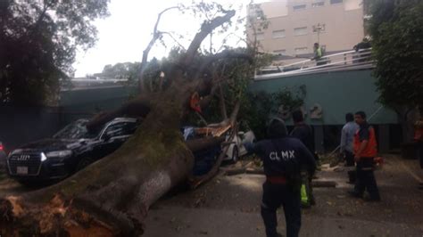 Reportan Caída De árboles Lonas Y Espectaculares Por Fuertes Vientos En Cdmx Mvs Noticias