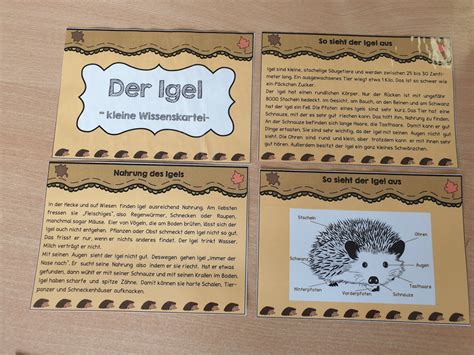 Grundschultante Igel Kartei