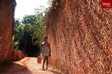 This Disabled Man From India Single Handedly Carved A Road T