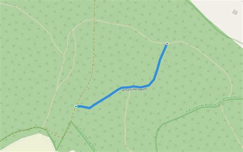 Apple orchard path Walking And Running Trail - Lazio | Pacer