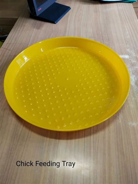 Chicken Feeder Tray Poultry Feeder Tray Tray Feeder For Chicken Fa At