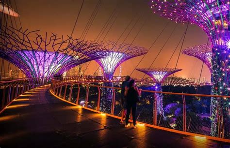 Garden By The Bay Tickets | My Singapore Tours