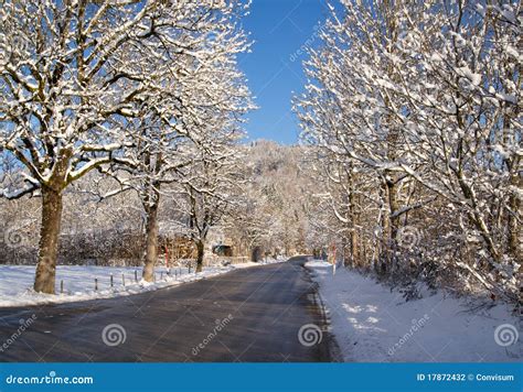 Tree Lined Road In Winter Stock Photo Image Of Countryside 17872432