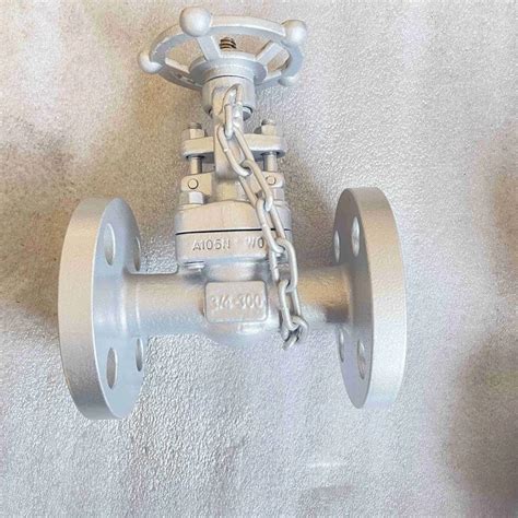 ASTM A105N Globe Valve API 602 3 4 Inch 300 LB BB RF Vervo