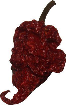 Red Tail Scorpion Chili Peppers Dried Trinidad Seed Pods Plus Free