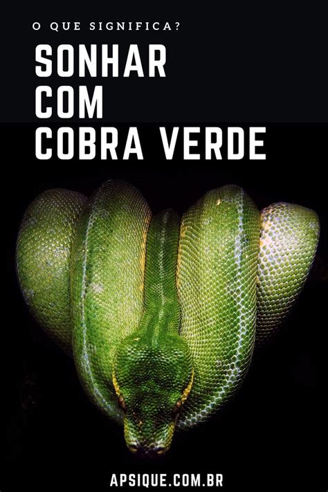 Sonhar Com Cobra Verde O Que Significa - Sonhar com Cobra Verde: Descubra o Significado