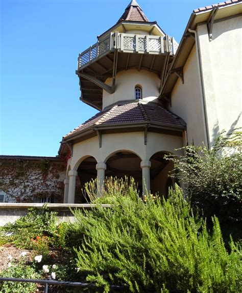 Bob On Sonoma At Chateau St Jean Winery Photos