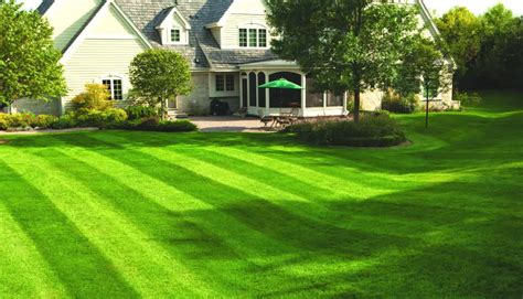 5 Great Ways How To Stripe Lawn Without Roller