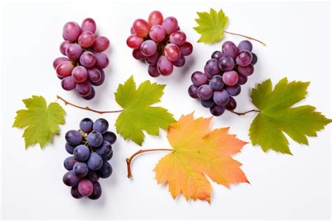 Premium AI Image | Exquisite Blend Captivating Array of Grape Varieties ...