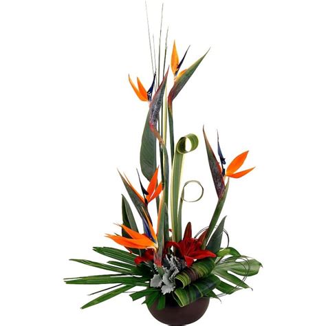 Bird of Paradise Arrangement | The Flower Company