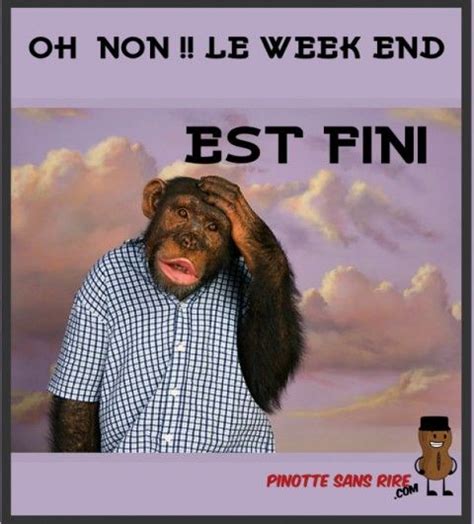 Pinotte Sans Rire Week End Dr Le Week End Humour Bonne Journ E Humour