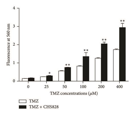 Nampt Inhibitor Increases The Tmz Induced Apoptosis And Necrosis In