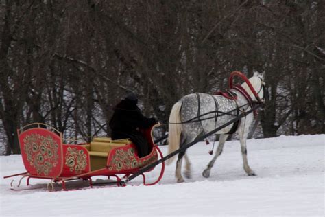 Winter Wonderland What To Wear On A Horse Sleigh Ride Horse Rookie