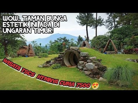 Pinusia Park Taman Hutan Pinus Cemoro Sewu Ungaran Timur Wisata