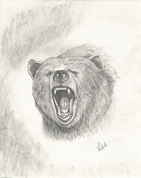 A pencil drawing of a growling bear bu LisaM. | Bear drawing, Drawings ...