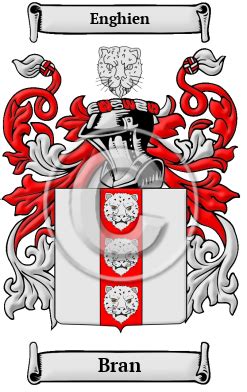 Bran Name Meaning, Family History, Family Crest & Coats of Arms