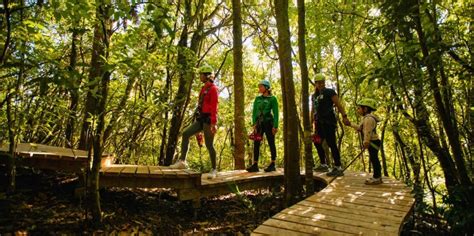 Rotorua Zipline Tour | Everything New Zealand