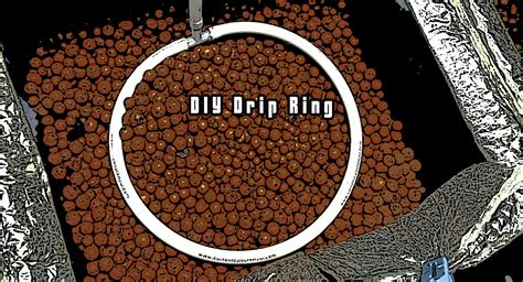 DIY Drip Ring - GROZINE