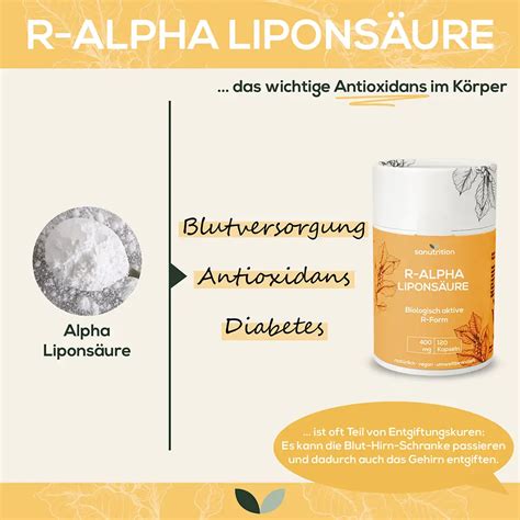 R Alpha Lipons Ure Kaufen Sanutrition Vitalstoff Shop