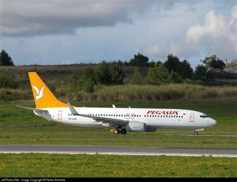 TC AAP Boeing 737 86N Pegasus Airlines Pedro Almeida JetPhotos