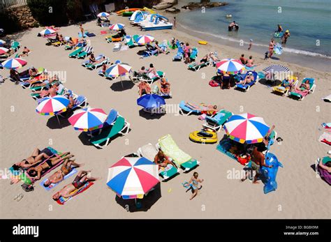 Beach Cala S Arenal Petit Portinatx Ibiza Pine Islands Balearic