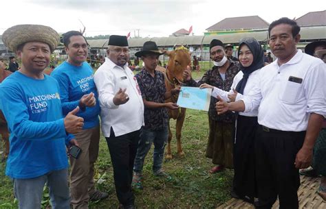 Hut Ke Pamekasan Dkpp Gelar Kontes Ternak Sapi Madura Dan Kambing