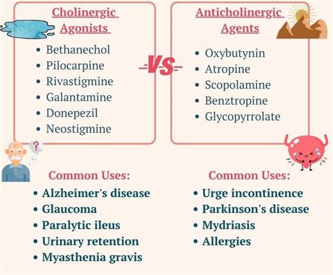 Cholinergic Vs Anticholinergic Drugs Medizzy