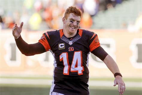 Cincinnati Bengals Release Quarterback Andy Dalton The, 41% OFF