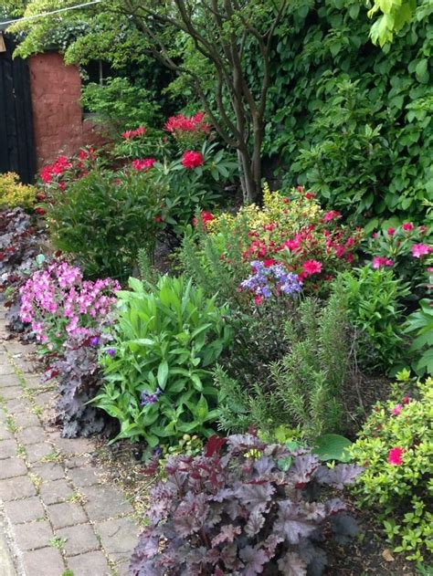 A Shady Border Homify Shade Garden Plants Rustic Garden Design